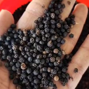 Black Pepper - Farmer Grade